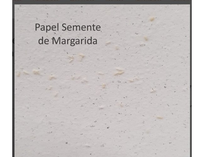 PAPEL SEMENTE DE MARGARIDA