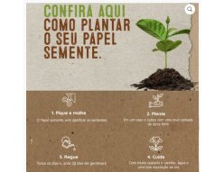 PAPEL SEMENTE DE MARGARIDA